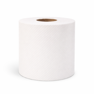 premium toilet roll pack – 100% virgin pulp (10 rolls)
