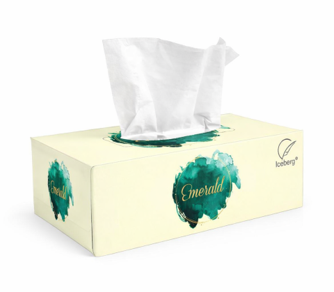 chatgpt image jan 19, 2026, 02 01 50 am